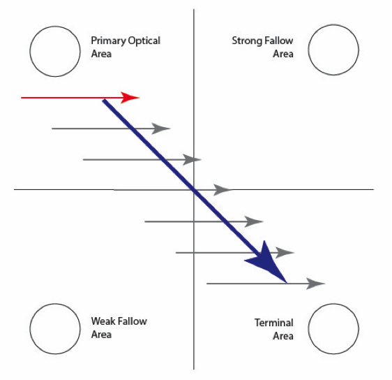 Figure 1: How our eyes track down a page according to the Gutenberg diagram