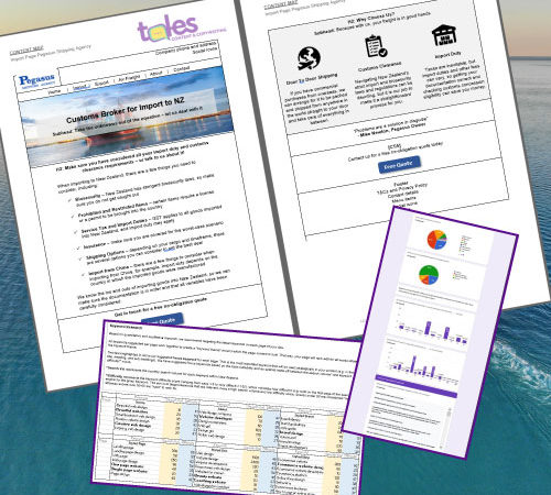 Website Copywriting Wireframe For Pegasus Shipping