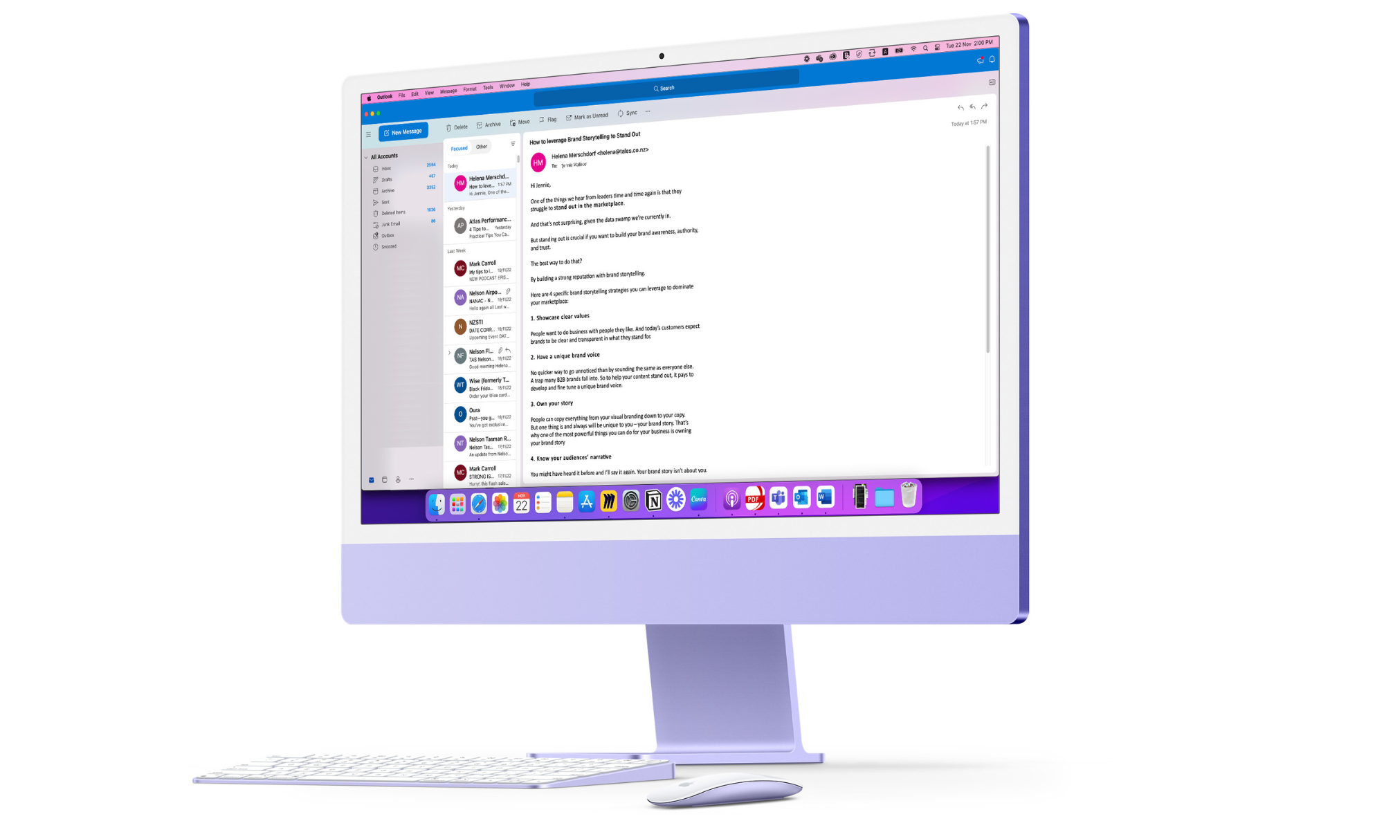 Email Preview