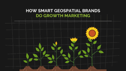 a sunflower blooming due to smart growth marketing